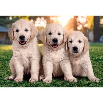 Clementoni Puzzle Super Color Happy Puppies 2x60 pcs 1200-24820 8005125248209