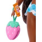 Mattel Barbie dream besties barbie broo JGH82 / JGH84 194735314539