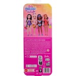 Mattel Barbie dream besties barbie broo JGH82 / JGH84 194735314539