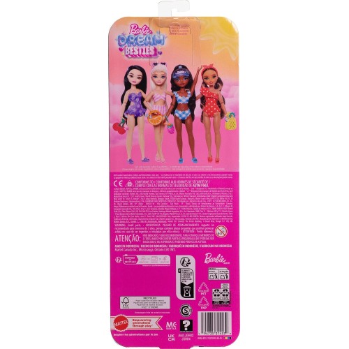 Mattel Barbie dream besties barbie broo JGH82 / JGH84 194735314539