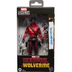 Hasbro marvel legends series cowboypool, marvel  deadpool and wolverine movie coll G2369 5010996359667