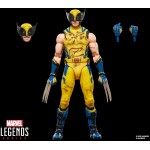 Hasbro marvel legends series wolverine, marvel  deadpool and wolverine movie colle G2365 5010996359612