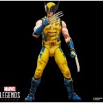 Hasbro marvel legends series wolverine, marvel  deadpool and wolverine movie colle G2365 5010996359612
