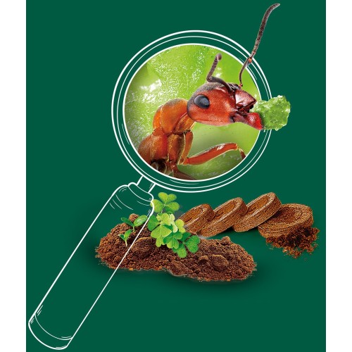 As company I've Been Learning And Creating The World Of Ants For 8+ Years 1026-63447 8005125634477