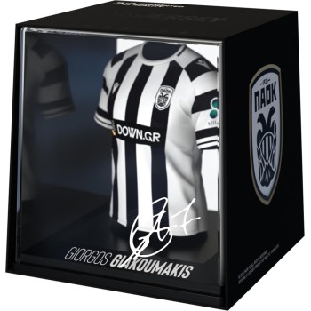 fancollex myjersey: paok - giorgos giakoumakis  25/26 53MY00012 5600366911696