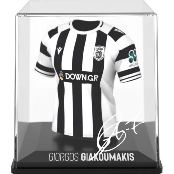 fancollex Myjersey: paok - giorgos giakoumakis (home 25/26) (53my00012) 53MY00012 5600366911696
