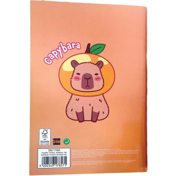 gim τετράδιο 17x25cm capybara-happy  red-chill ass. 300-17400 5204549178571