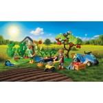 Playmobil Idyllic Vegetable Garden 72165 4008789721655