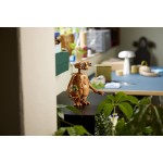 LEGO ideas e.t. the extra-terrestrial 21370 5702018066324