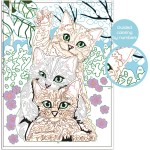 As company Happi Hobbi Happihobbi Paint By Numbers Funny Kitties 1038-41026 5203068410261