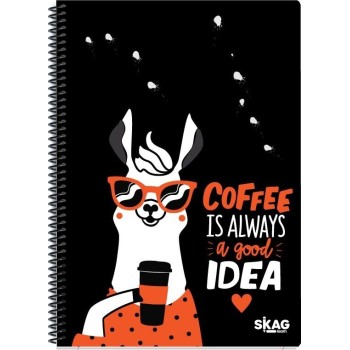 SKAG Θεματικό Τετράδιο JOLLY 17x25 3θεμ 80γρ. 309714 5201303309714