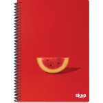 SKAG Thematic notebooks UNIVERSITY FUN Girl 17x25 3pcs 80g N.9223 300438 5201303300438