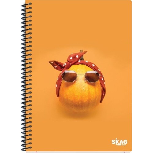 SKAG Thematic notebooks UNIVERSITY FUN Girl 17x25 1pc 80g N.9221 300414 5201303300414