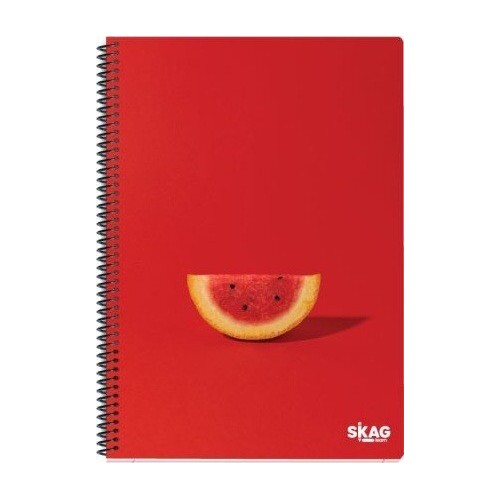 SKAG Thematic notebooks UNIVERSITY FUN Girl A4 2pcs 80g N.9232 300377 5201303300377