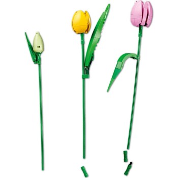 LEGO Botanicals Μπουκέτο με Τουλίπες 11501 5702018061770