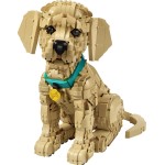 LEGO ® Icons Golden Retriever Puppy - Animal Figure 11384 5702018063651
