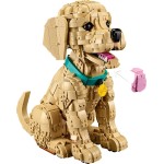 LEGO ® Icons Golden Retriever Puppy - Animal Figure 11384 5702018063651
