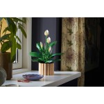 LEGO Botanicals Σπαθίφυλλο 11504 5702018031858