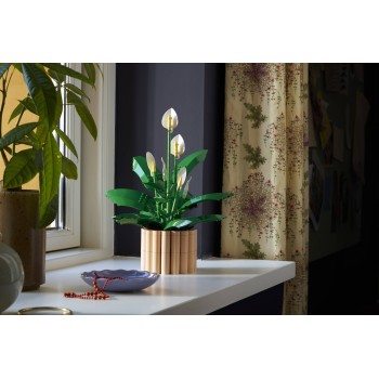 LEGO ® Botanicals Spathiphyllum 11504 5702018031858