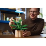 LEGO Botanicals Σπαθίφυλλο 11504 5702018031858
