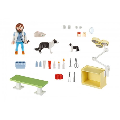 Playmobil Vet Visit Carry Case 5653 4008789056535