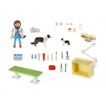 Playmobil Vet Visit Carry Case 5653 4008789056535