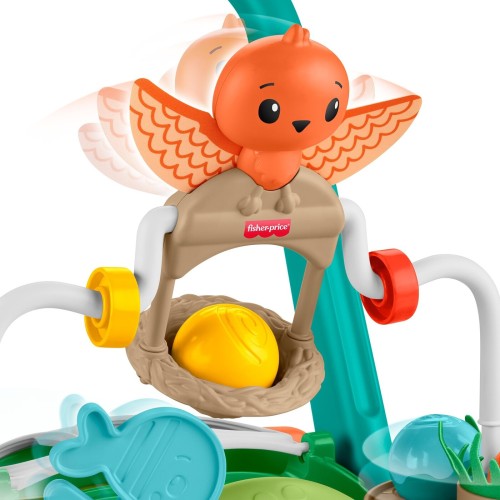 Mattel Fisher-price Moves With You Turtle Walker, Baby & Toddler Activity Push Toy, 5 Balls JKD63 194735347339