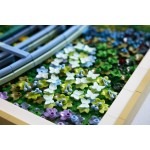 LEGO Art Κλωντ Μονέ – Γέφυρα πάνω από Λίμνη με Νούφαρα  31220 5702018066379