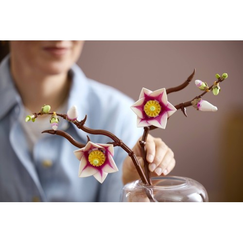 LEGO Botanicals Κλαδιά Μανόλιας  11510 5702018061848