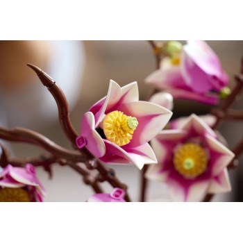 LEGO Botanicals Κλαδιά Μανόλιας  11510 5702018061848