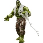 Hasbro Marvel Avengers Marvel Legends Series Hulk, Spider-Man: Brand New Day Collectible 15-Cm G2033 / G2399 5010996404879