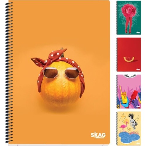 SKAG Thematic notebooks UNIVERSITY FUN Girl 17x25 4pcs 80g N.9224 300445 5201303300445