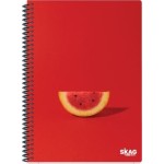 SKAG Thematic notebooks UNIVERSITY FUN Girl 17x25 4pcs 80g N.9224 300445 5201303300445