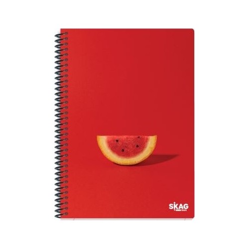 SKAG Thematic notebooks UNIVERSITY FUN Girl 17x25 4pcs 80g N.9224 300445 5201303300445