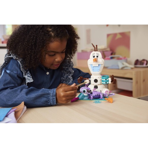 LEGO  Disney Frozen Διασκέδαση του Όλαφ και Μπρούνι στο Πικνίκ 43287 5702018066782