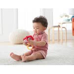 Mattel Κουδουνίστρα Ακορντεον DRD88 887961332018
