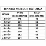 CLOWN Αποκριάτικη Στολή Jean D Arc No 08 82408 5203359824081