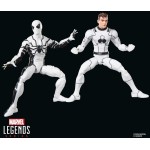 Hasbro Marvel Legends Series Future Foundation Mister Fantastic & Spider-man Two-p G2068 | Toys-shop.gr