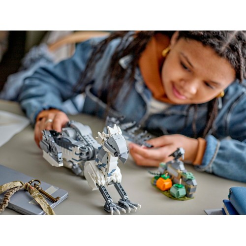 LEGO Harry Potter™ Ωραιόραμφος™  76427 5702017599496