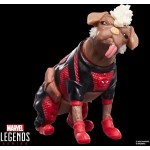 Hasbro Marvel Legends Series Dogpool and Deadpool, Marvel Studios Deadpool & Wolve G2126 | Toys-shop.gr