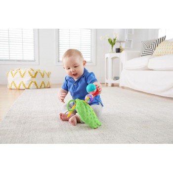Mattel Κουδουνίστρα Μπιζέλια DRD79 887961331936