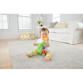 Mattel Κουδουνίστρα Μπιζέλια DRD79 887961331936