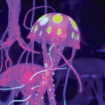 Λάμπα Ενυδρείου Discovery Jellyfish 0401.1423012561 4894088064179