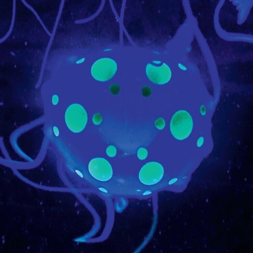 Discovery Jellyfish Aquarium Lamp 0401.1423012561 4894088064179