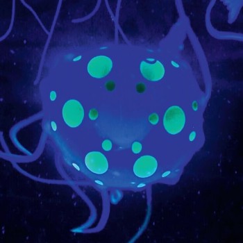 Discovery Jellyfish Aquarium Lamp 0401.1423012561 4894088064179