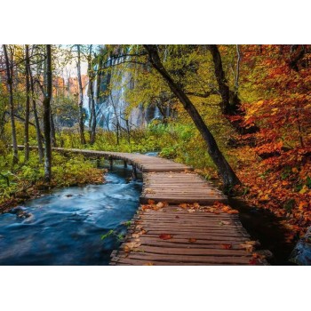 Ravensburger Puzzle 1000 Pieces - Autumn Forest Trail 12001764 4005555017646