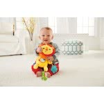 Mattel Fisher Price Μαλακό Λιονταράκι Καροτσιού CGN89 887961070217