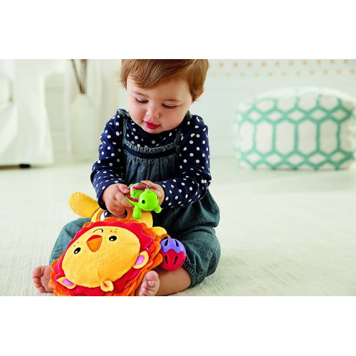 Mattel Fisher Price Μαλακό Λιονταράκι Καροτσιού CGN89 887961070217