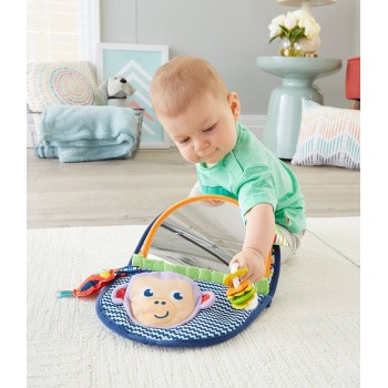 Mattel Fisher Price Μαϊμουδάκι Με Καθρέφτη Και Υφές DYC85 887961408850