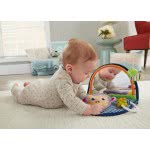 Mattel Fisher Price Μαϊμουδάκι Με Καθρέφτη Και Υφές DYC85 887961408850